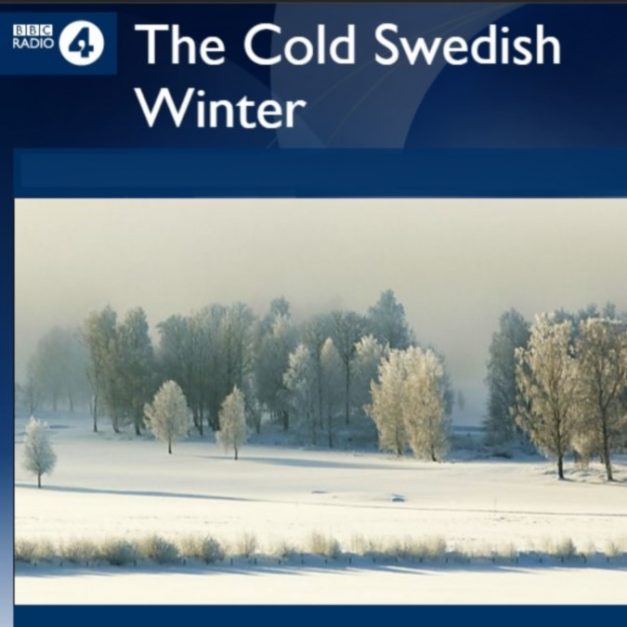 Cold Swedish Winter