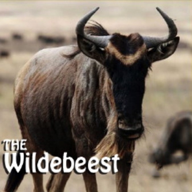 The Wildebeest