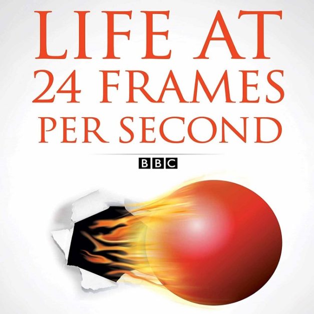 Life at 24 Frames a Second