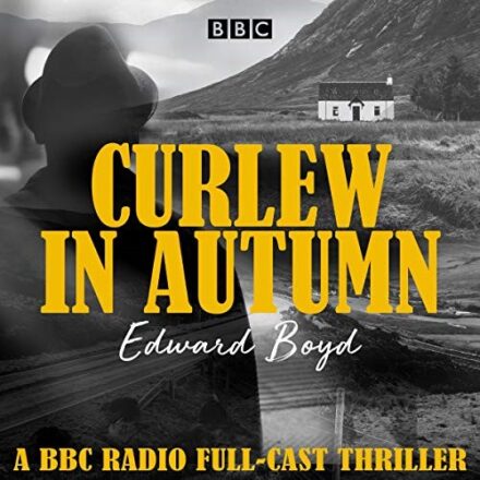 Curlew in Autumn – Edward Boyd